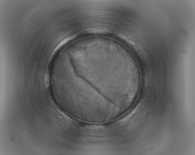 X0000112171306200908281331