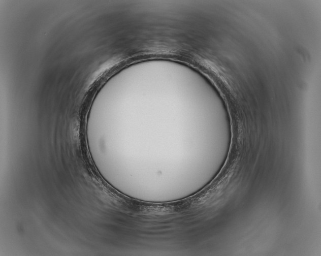 X0000112171307200908281331