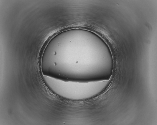 X0000112171308200908281331