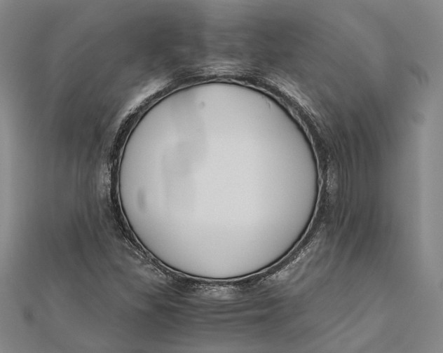 X0000112171309200908281331