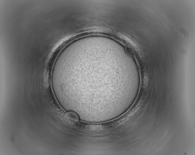 X0000112171310200908281331