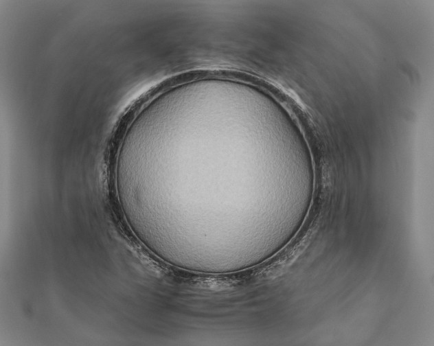 X0000112171311200908281331