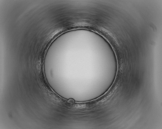 X0000112171313200908281331