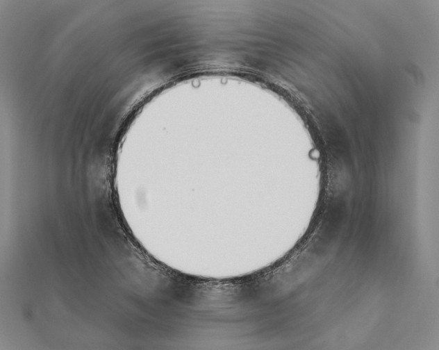 X0000112171314200908281331