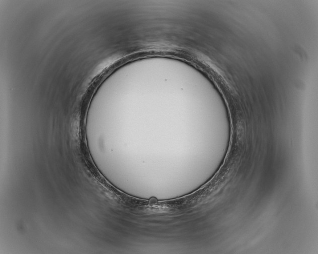 X0000112171315200908281331