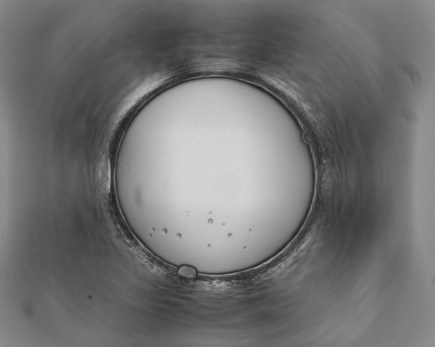 X0000112171317200908281331