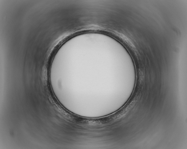 X0000112171318200908281331