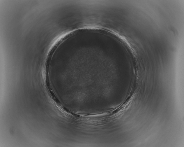 X0000112171319200908281331