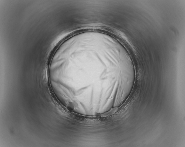 X0000112171320200908281331