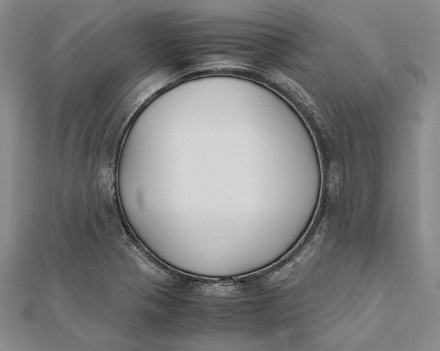 X0000112171321200908281331