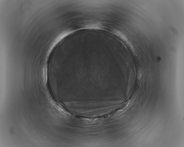 X0000112171323200908281331