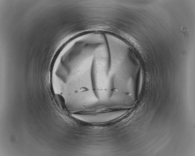 X0000112171324200908281331