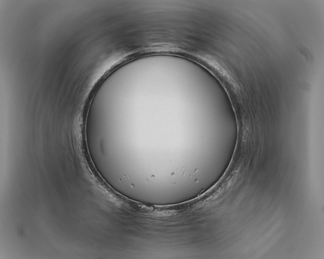 X0000112171325200908281331