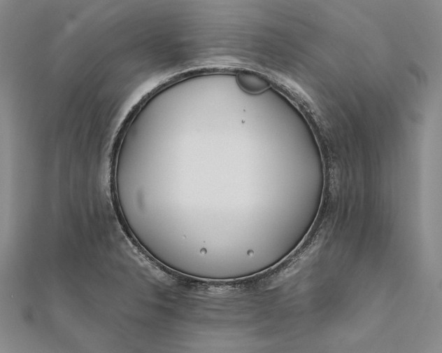 X0000112171326200908281331