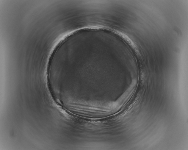 X0000112171327200908281331