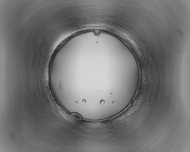 X0000112171328200908281331