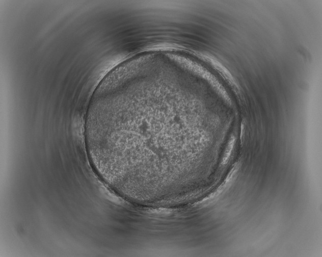 X0000112171329200908281331