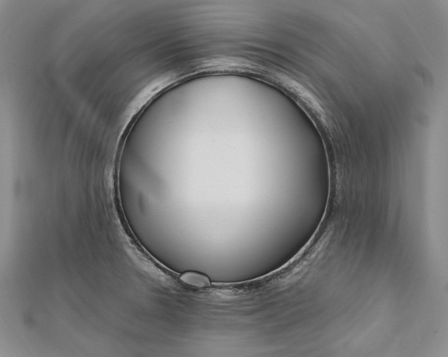 X0000112171330200908281331