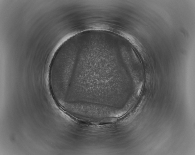 X0000112171331200908281331