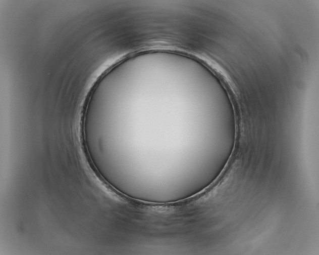 X0000112171333200908281331