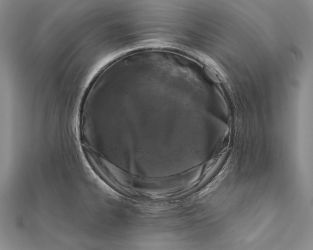 X0000112171334200908281331