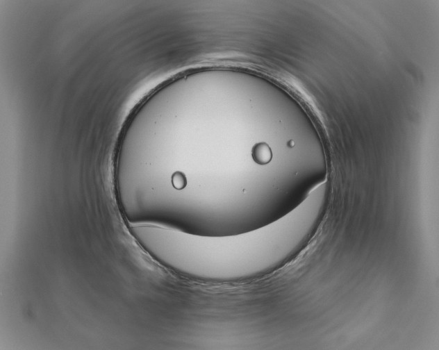 X0000112171336200908281331