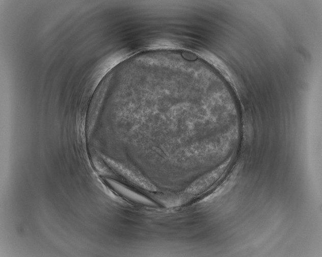 X0000112171337200908281331