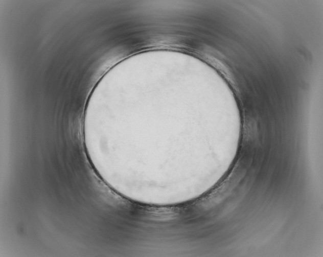 X0000112171338200908281331