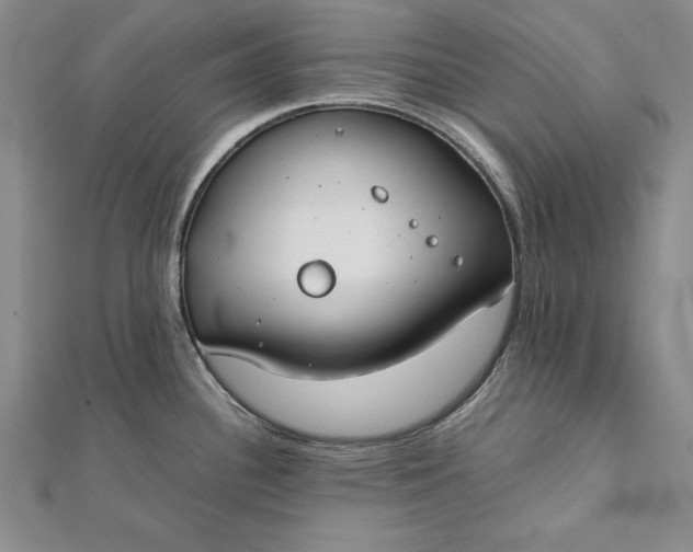 X0000112171340200908281331