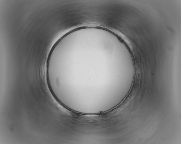 X0000112171343200908281331