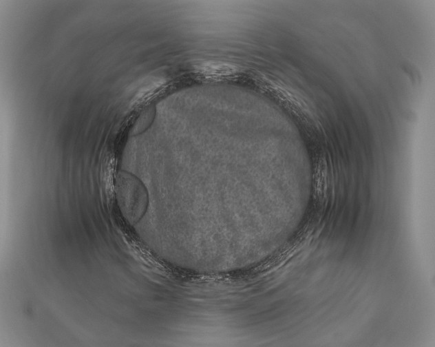 X0000112171346200908281331