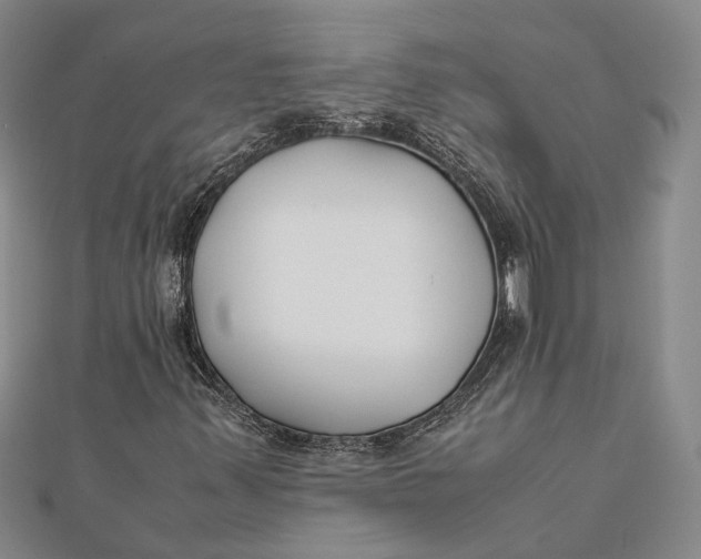 X0000112171347200908281331