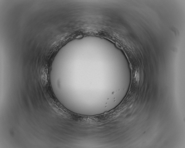 X0000112171348200908281330