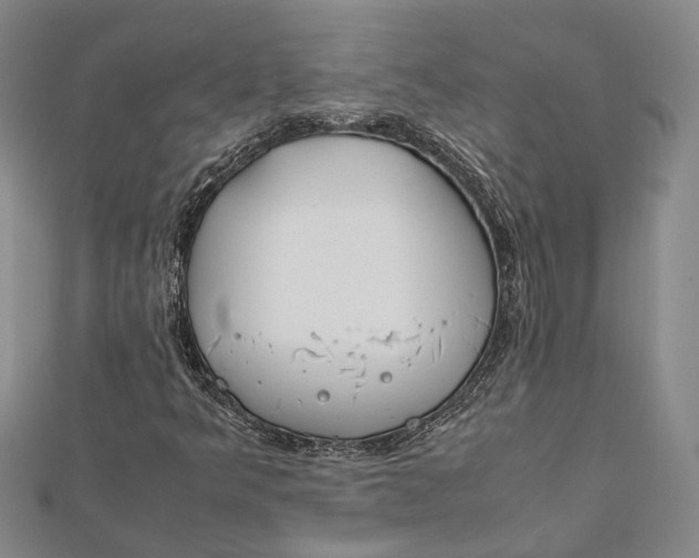 X0000112171349200908281330