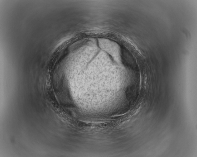 X0000112171350200908281330