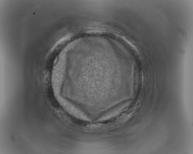 X0000112171351200908281330