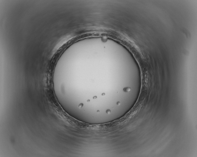 X0000112171352200908281330