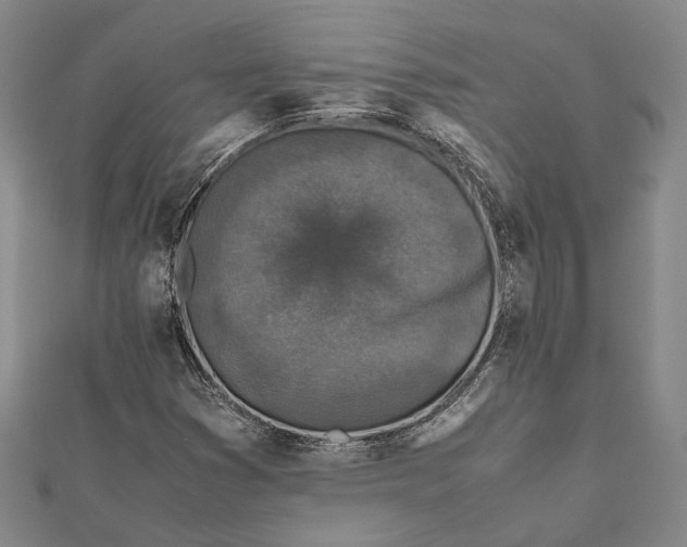 X0000112171353200908281330