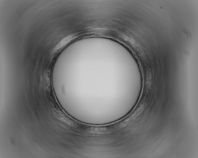 X0000112171354200908281330