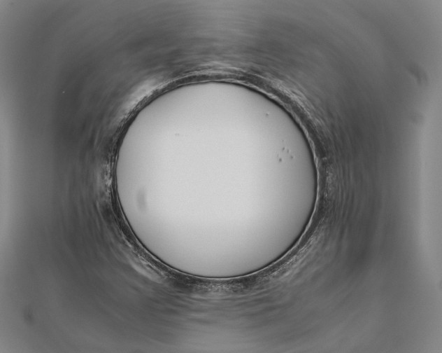 X0000112171355200908281330