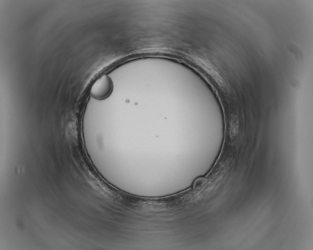 X0000112171356200908281330