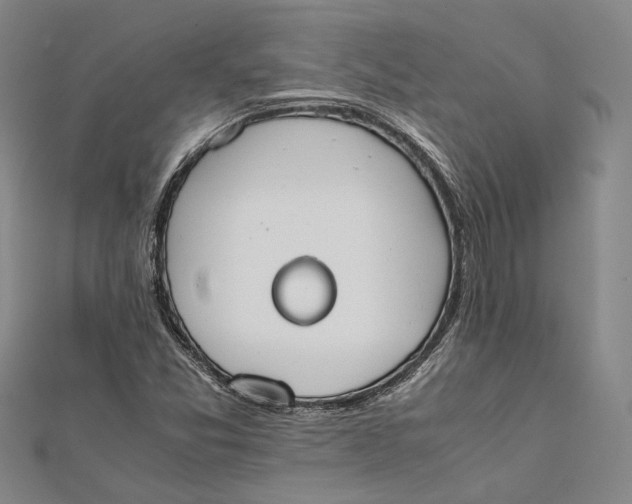 X0000112171357200908281330