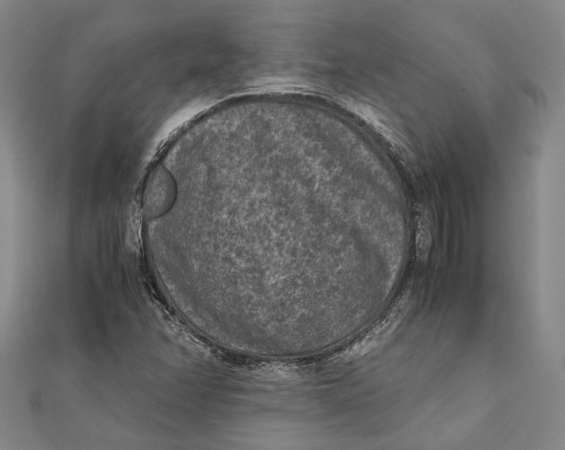 X0000112171358200908281330