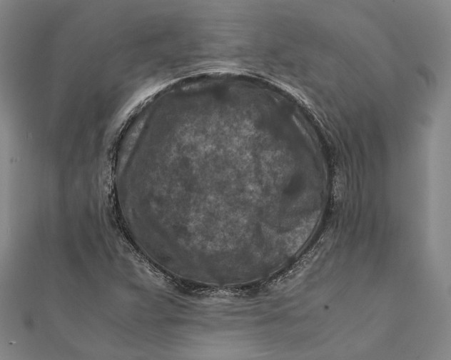 X0000112171359200908281330