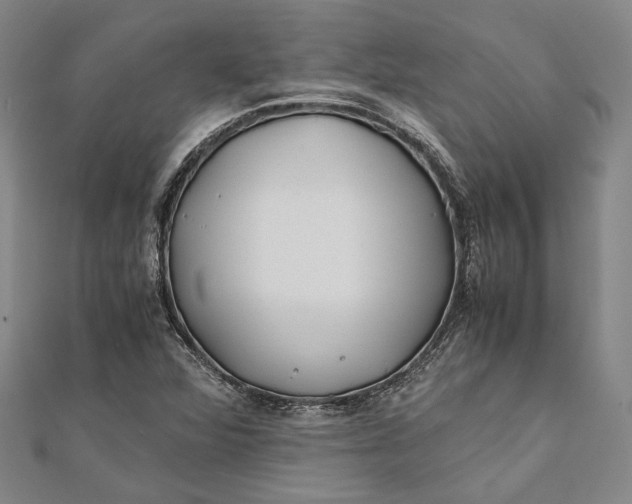 X0000112171360200908281330