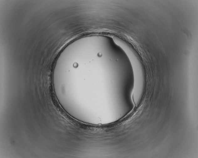 X0000112171361200908281330