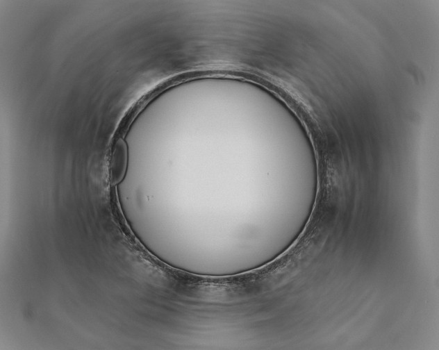 X0000112171364200908281330