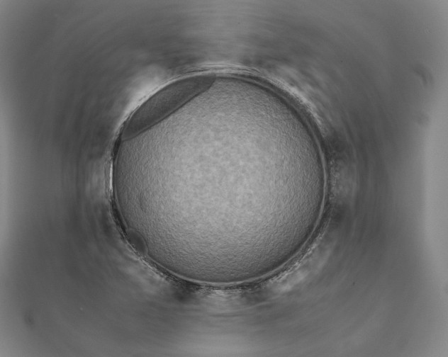 X0000112171365200908281330