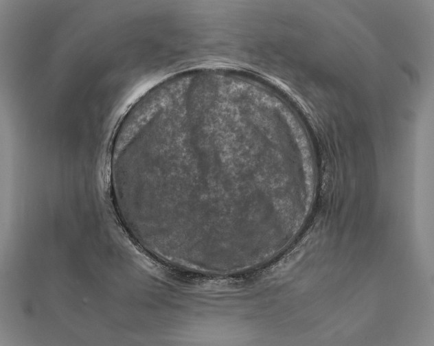 X0000112171367200908281330