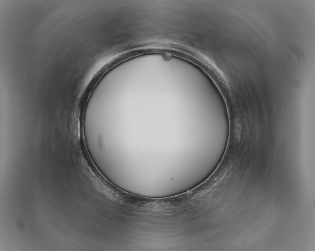 X0000112171368200908281330